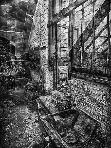 The Old Greenhouse.jpg